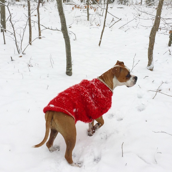 Meet your Posher, Emily - Picture 3 of 6